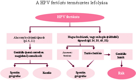 HPV